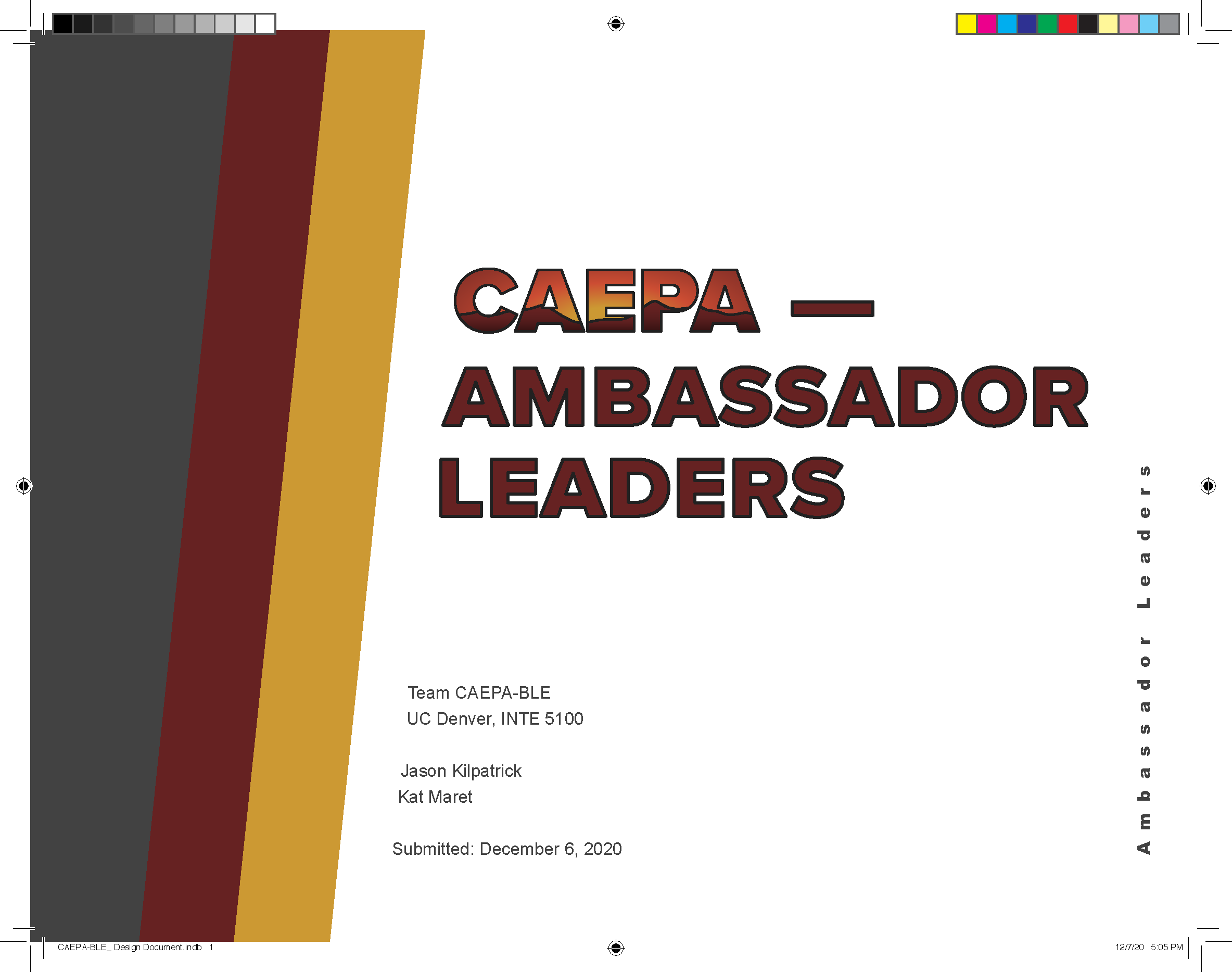 Design Document PDF